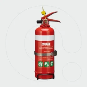 Fire Extinguisher, 1 kg Dry Powder ABC 85%